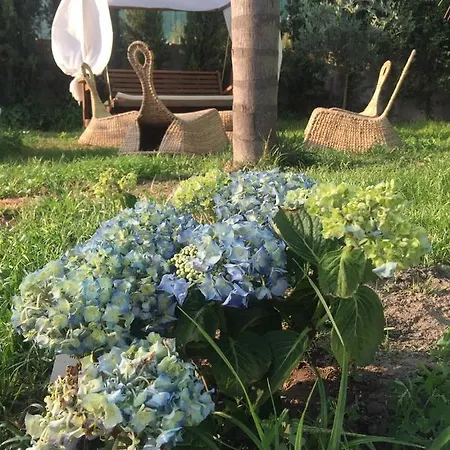 Bed & Breakfast Da Paco Somma Vesuviana